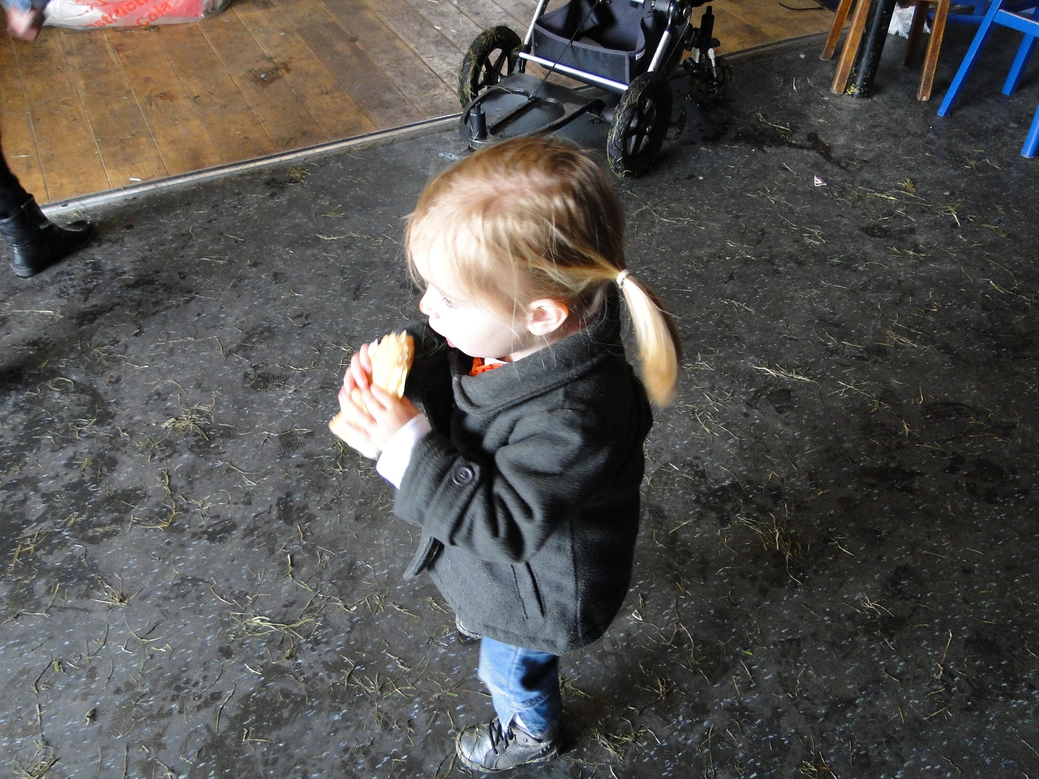 Koninginnedag 2010 126.jpg